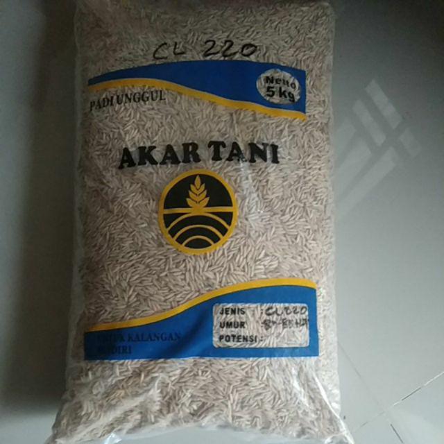 Benih Padi Unggul Cl220