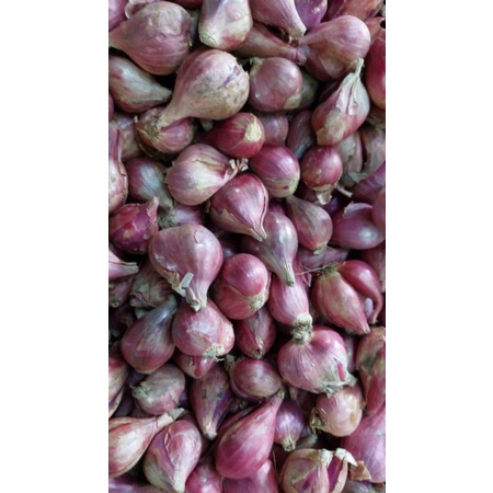 

bawang merah Brebes 1 kg