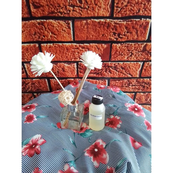 Biang Essen Buah Naga