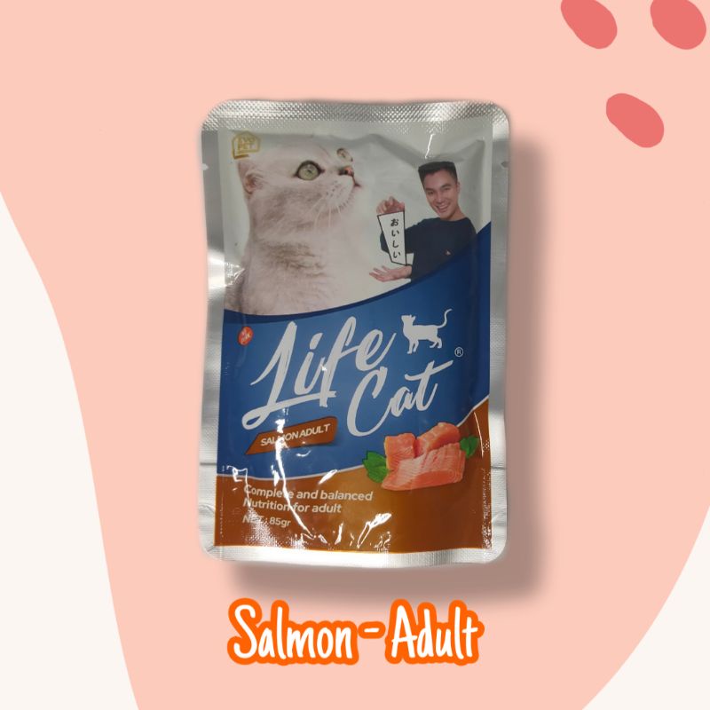 [LIFECAT POUCH 85GR] LifeCat Wetfood Kitten/Adult Salmon, Tuna, Chicken