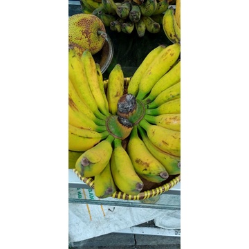 

pisang