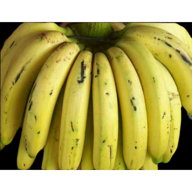 

Pisang Ambon Super✓