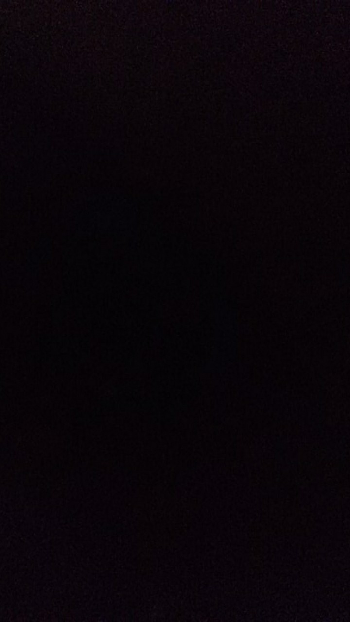 Bibit Jeruk Lemon California Berbunga