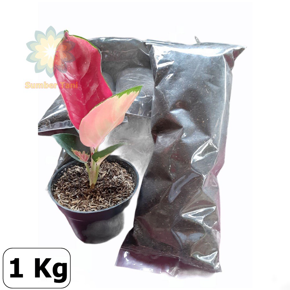 Media Tanam Srintil Murni Kotoran Kambing 1 Kg