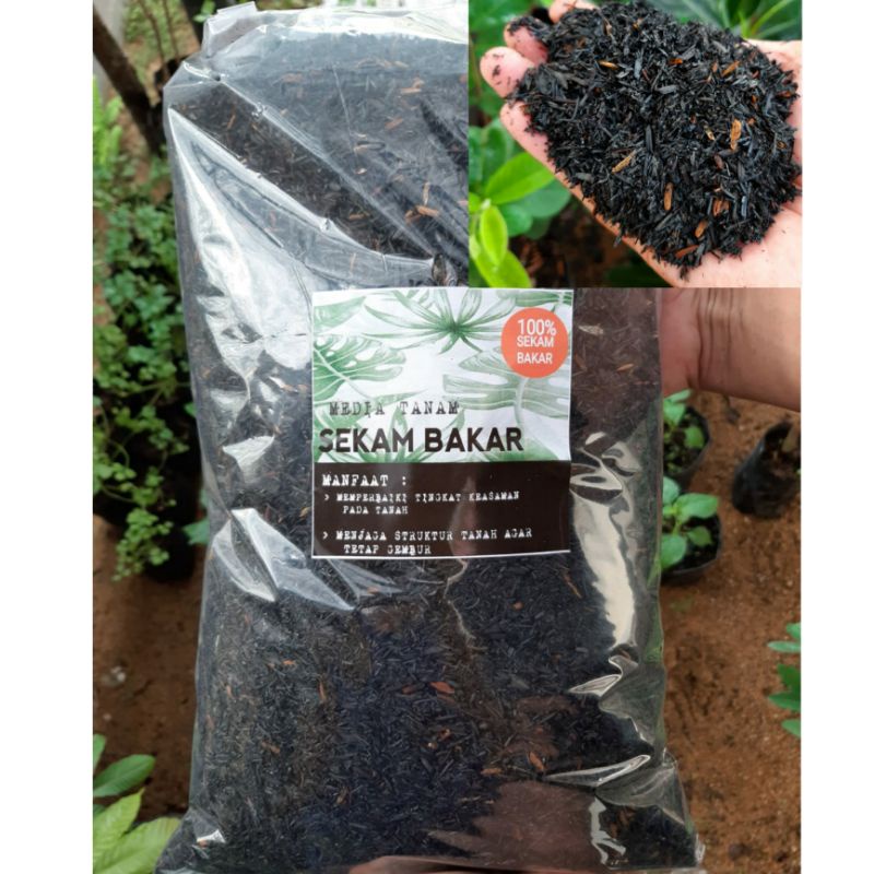 Sekam Bakar 1kg Media Tanam/Tanaman Hias