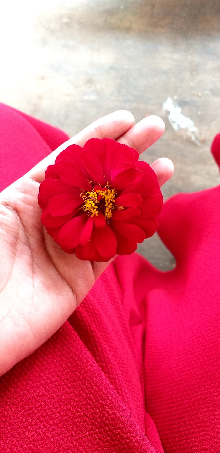 Toples 175 Ml Pudding Madu Cream Sambal Bubuk Cake Bumbu Bebas Pilih Tutup