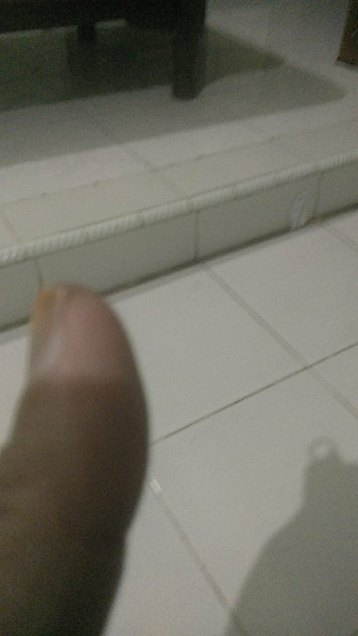 Alat Pemeras Jeruk Lemon , Perasan Jeruk Manual , Pemeras Jeruk Lemon