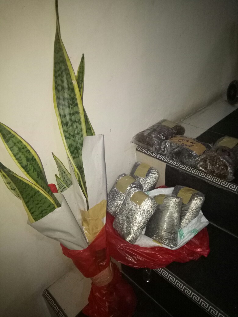 Pupuk Kambing 500gram