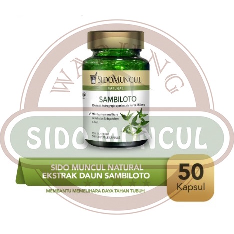 

Sido Muncul Natural Ekstrak Daun Sambiloto Kapsul 50 Daya Tahan Tubuh
