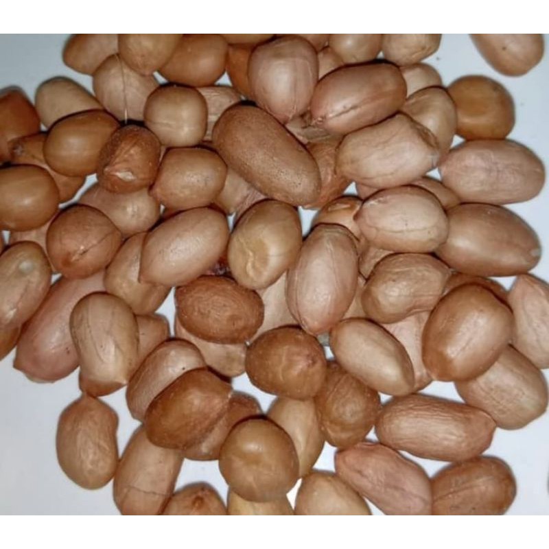 

Kacang Tanah Curah 500 Gr