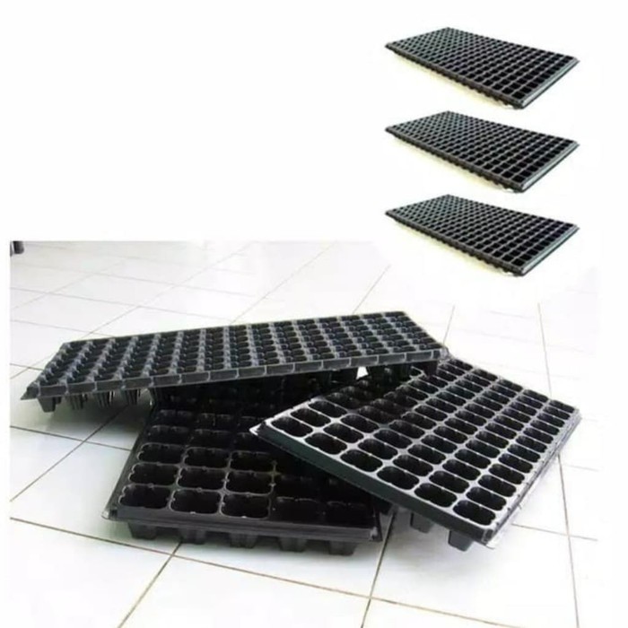 TRAY SEMAI 6 x 12 LUBANG