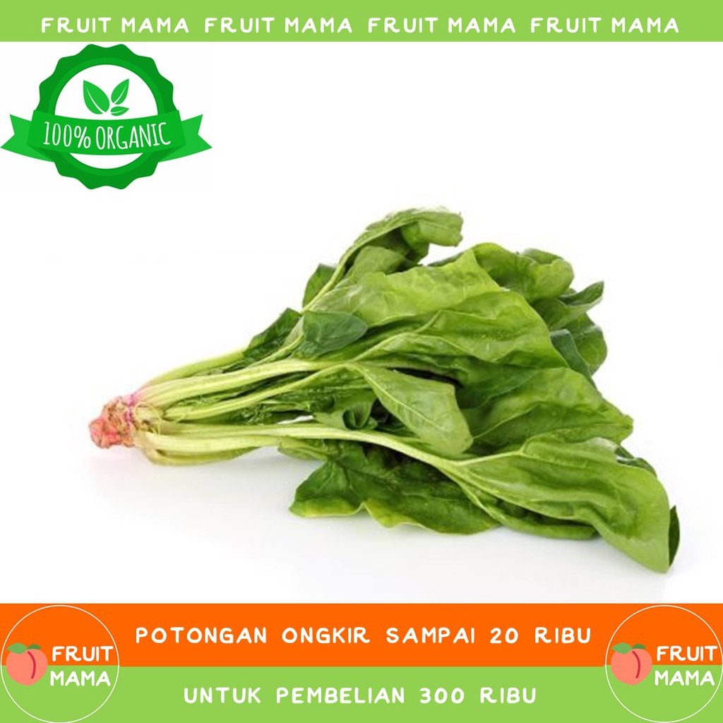 

HORENZO SPINACH - Bayam Organik 250 Gram| Fruit Mama | Buah Impor & Sayur Organik