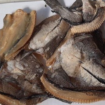 

Ikan Asin Gabus Mantap