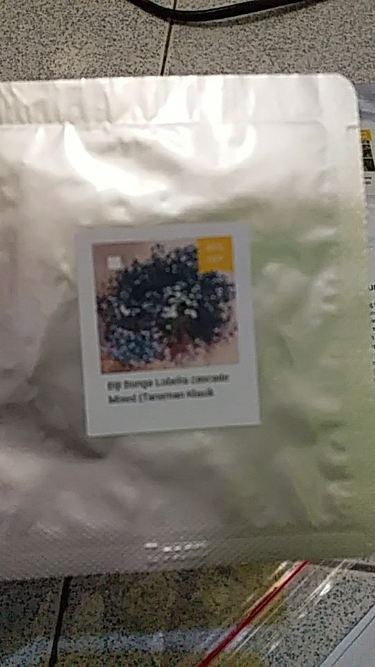 Biji Benih Bunga Lobelia Cascade Mixed  (tanaman Klasik Untuk Keranjang)