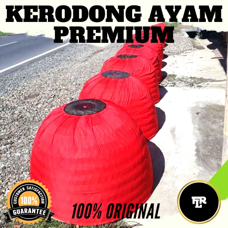 KERODONG AYAM BANGKOK JUMBO MURAH / KELAMBU KURUNGAN AYAM / SELIMUT KURUNGAN AYAM / KRODONG KURUNGAN