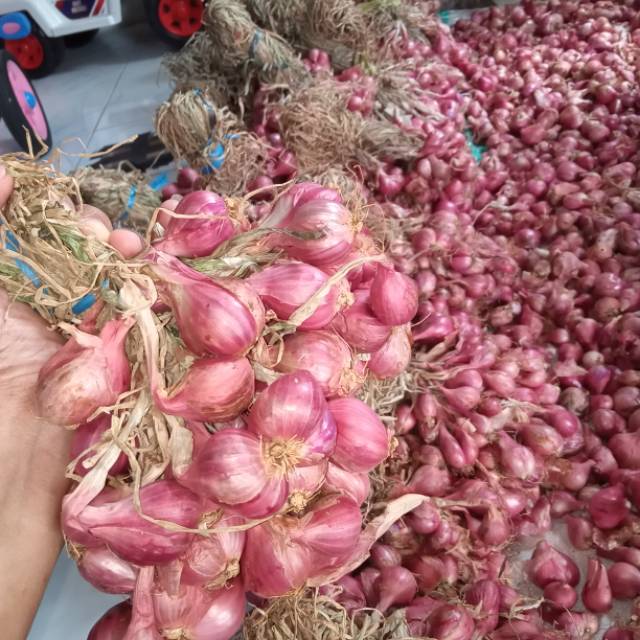 

brambang jawa 1kg