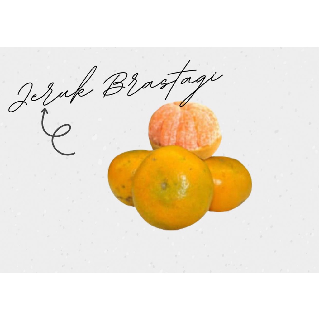 

Jeruk Brastagi 1Kg