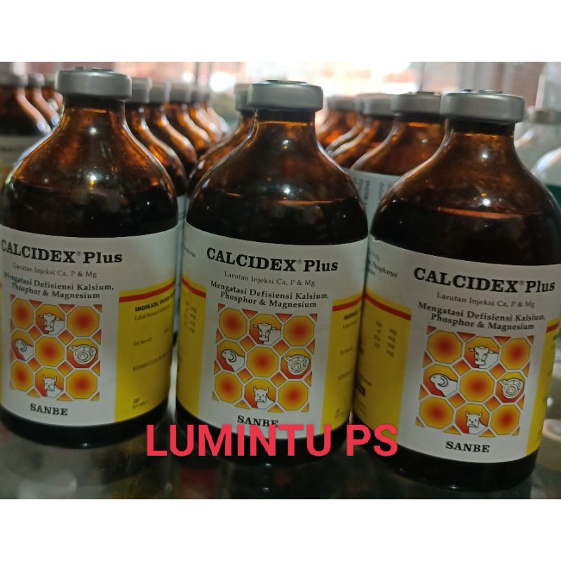 CALCIDEX Plus 100ml