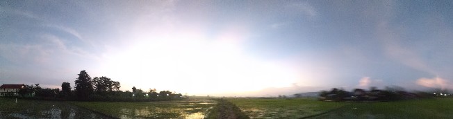 Apta Batik _ Couple Batik Pinguin Selendang Payet Anjella Hauw