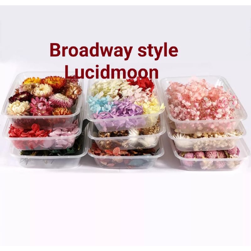 Dried Flower Box Bunga Kering Warna Pastel Untuk Hiasan Flower Dome Wax Sachet Rustic Isi Topping Re