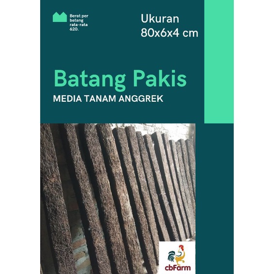 Pakis Batang Panjang 80cm,  turus pakis, penyangga Media Tanam Anggrek GRADE A