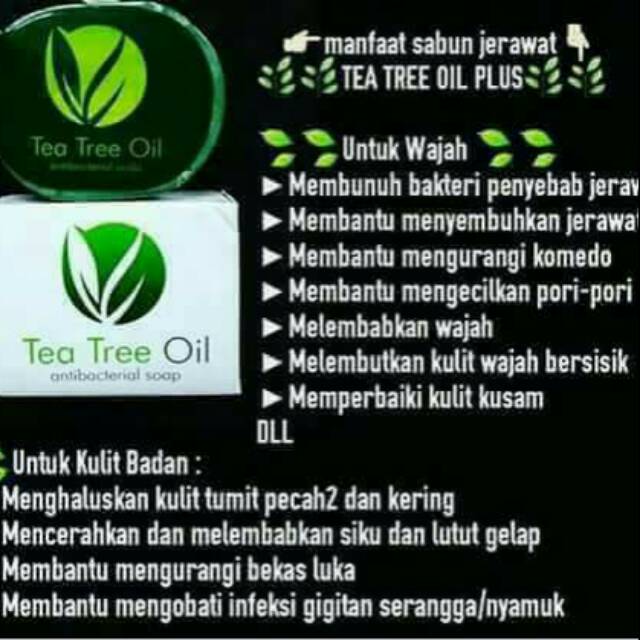 Sabun Tea Tree Oil Msi Tto Indonesia