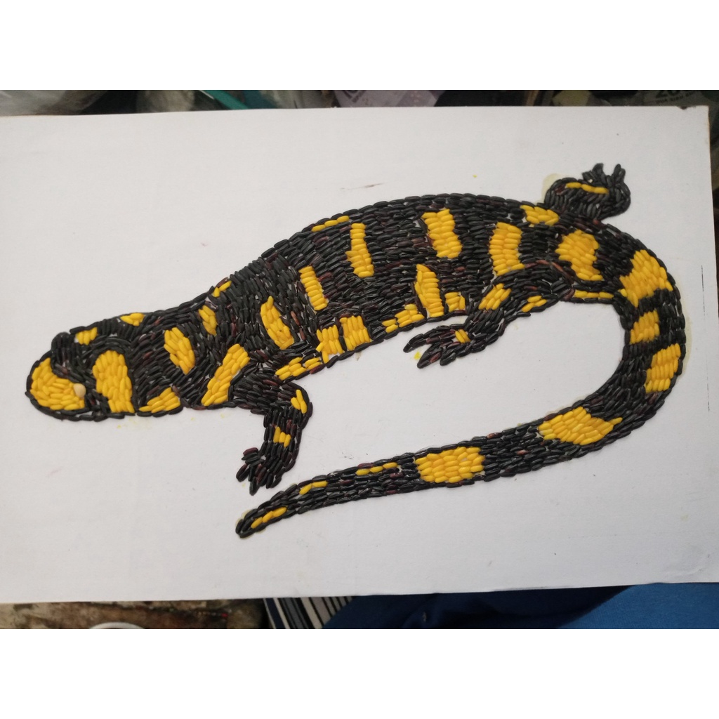 Kolase Hewan Salamander Dari Beras Warna