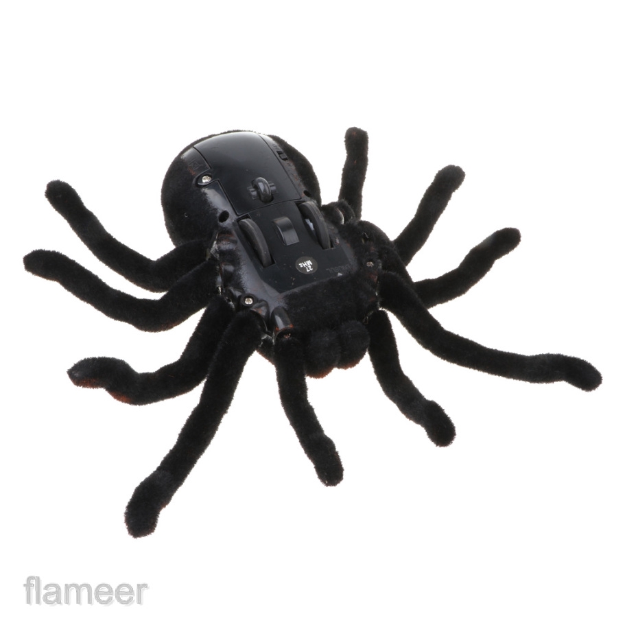 rc tarantula