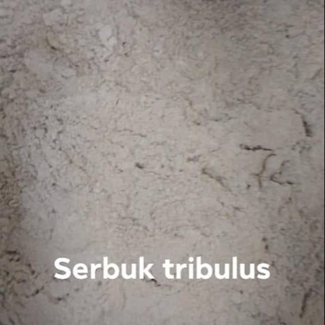 

tribulus bubuk 1 kg