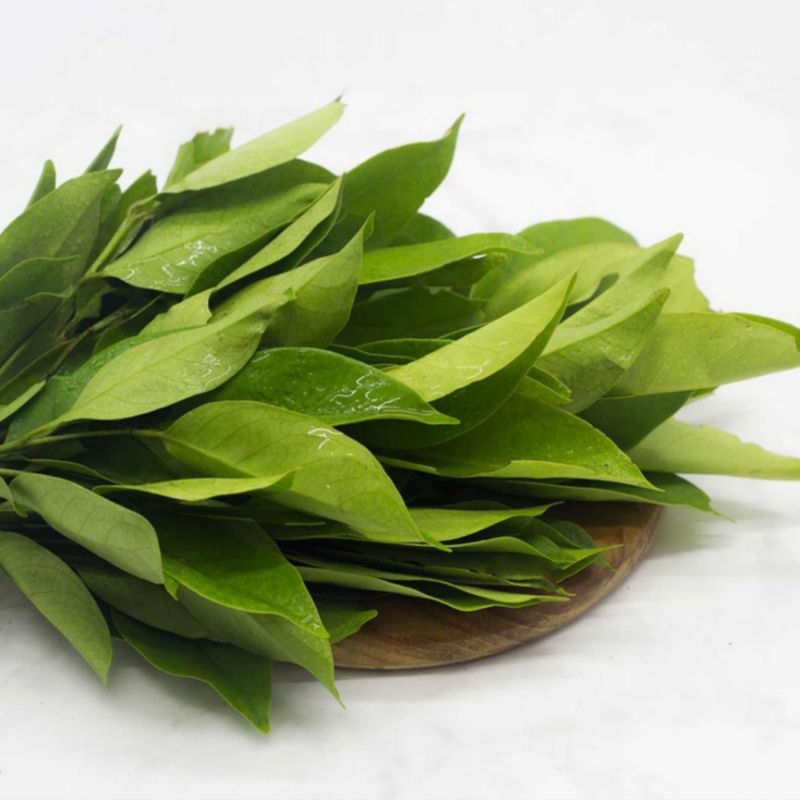 

Daun Salam Perpack Segar | Hasil Lampung