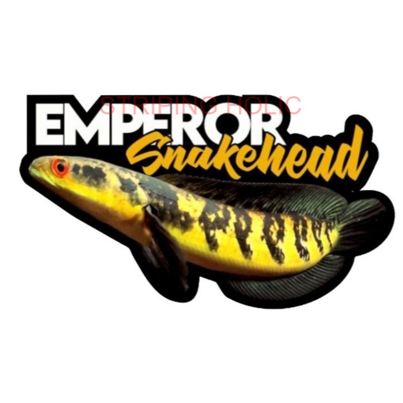 STIKER EMPEROR SNAKEHEAD