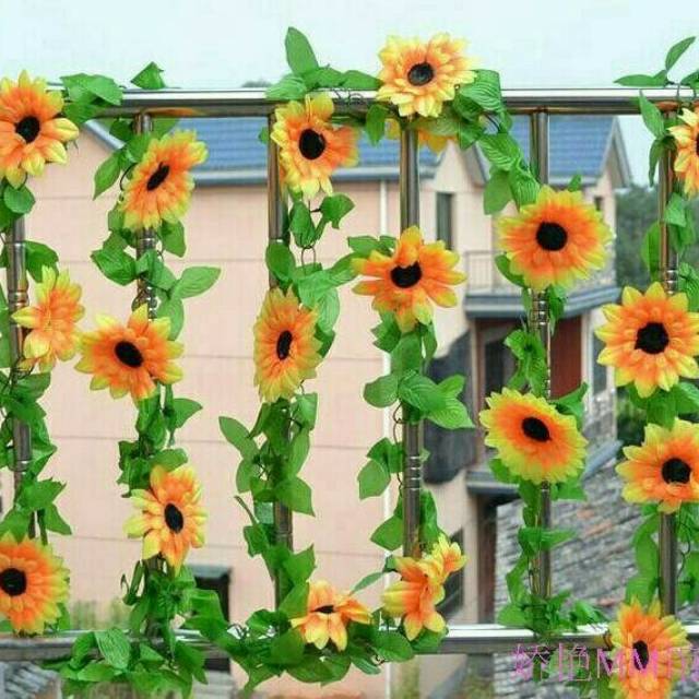  Bunga  matahari bunga  hias bunga  gantung hiasan  pagar  