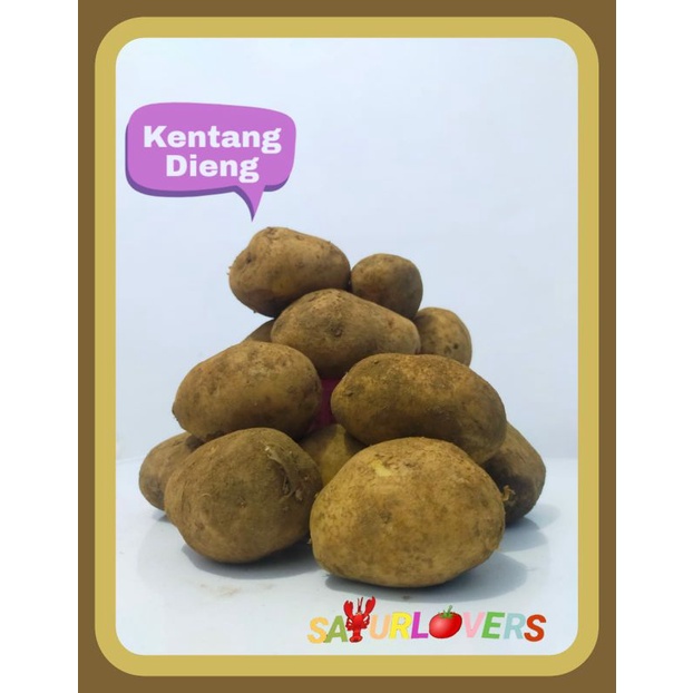 

Kentang Dieng SayurLovers