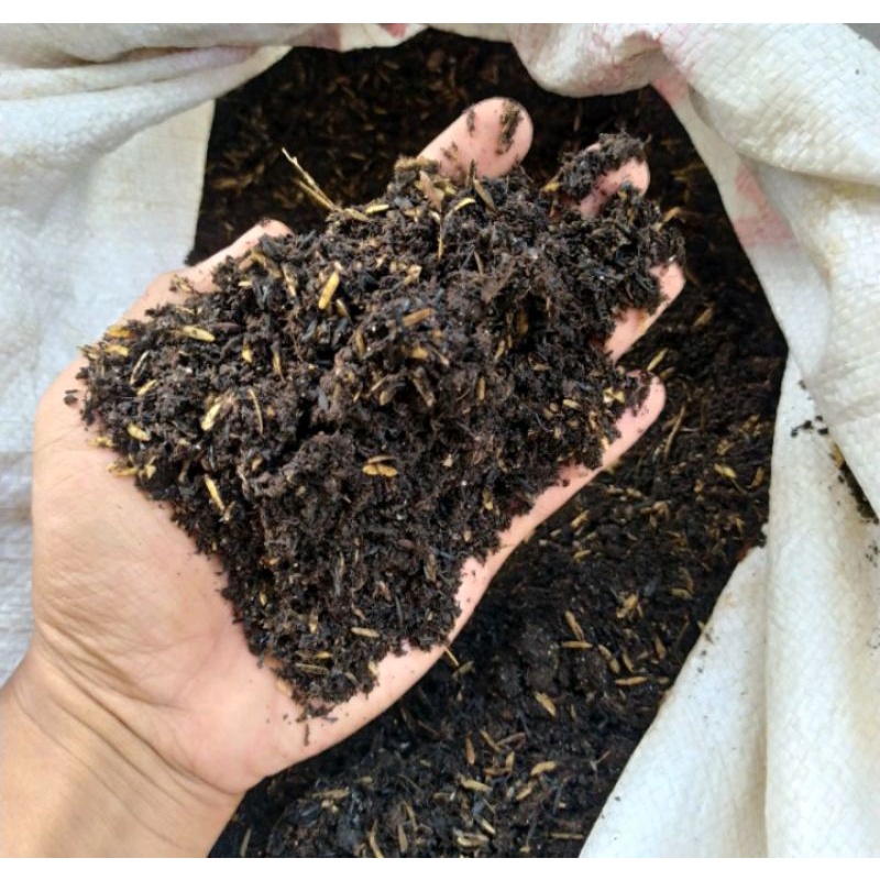 media tanam 5kg  mix siap pakai