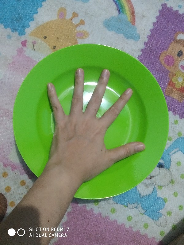 Piring Makan Melamin (6pcs) L Piring Cantik Murah