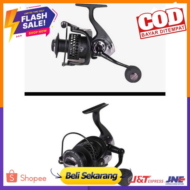 Beast King Reel Pancing BKK3000 13+1 Ball Bearing