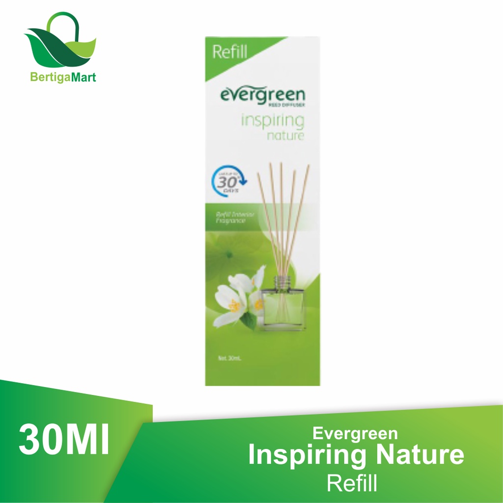 Evergreen Reed Diffuser Refill 30 ml-Inspiring Nature