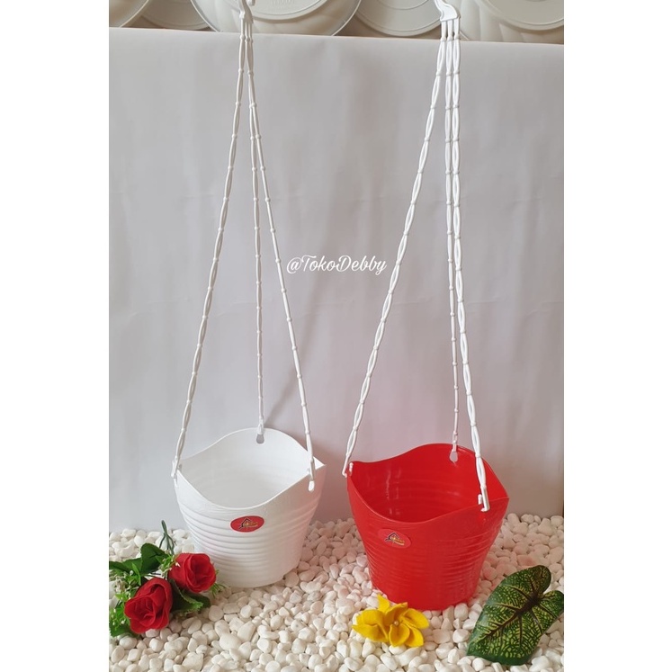 Pot Bunga Alexish Gantung Charlie Warna-Warni