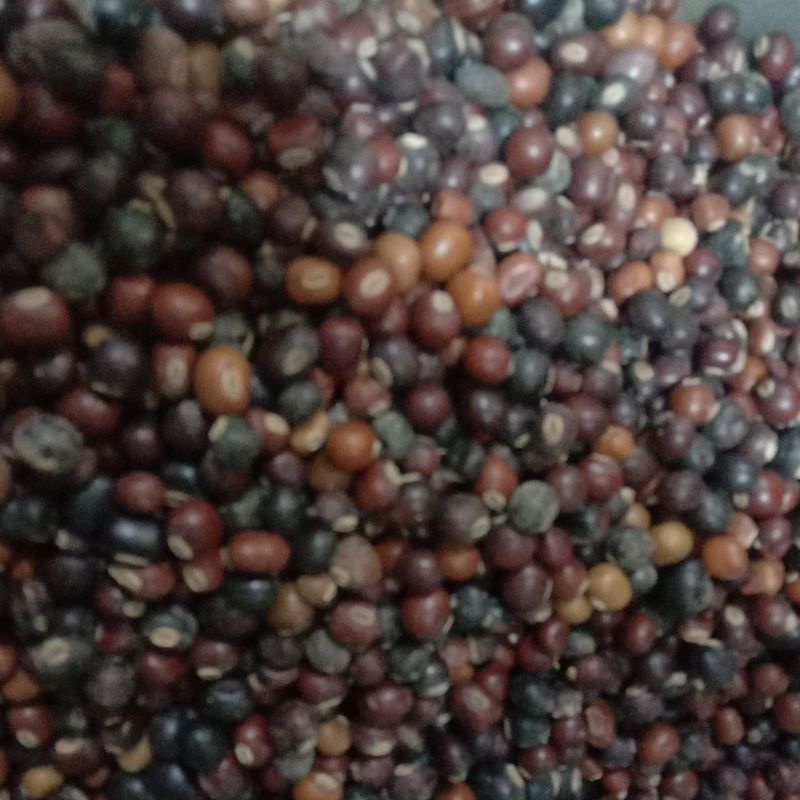 

botor bonong kemasan 250gram