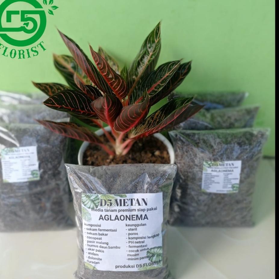 ✅【Harga Hemat】❤ Media tanam ,media tanam aglonema ,media tanam aglonema siap pakai , media aglonema 