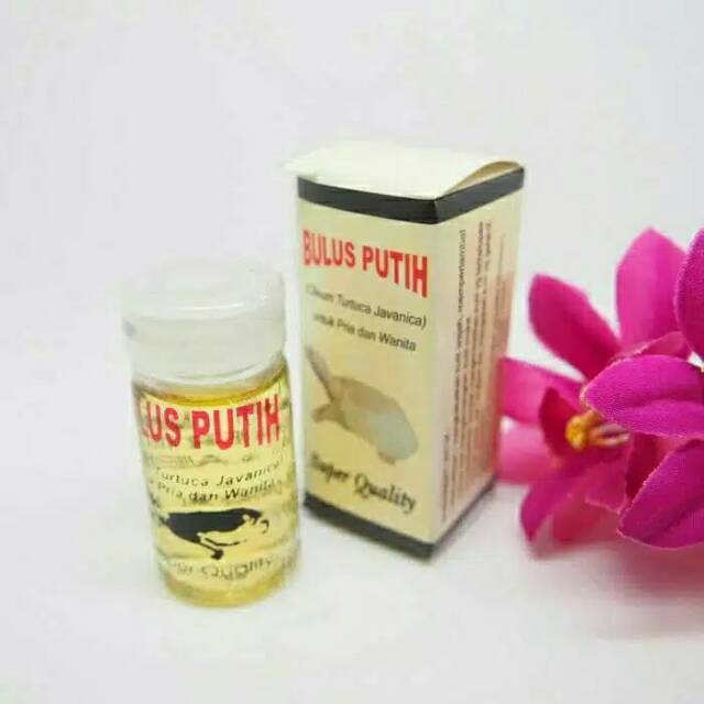 Minyak pembesar payudara (minyak bulus)