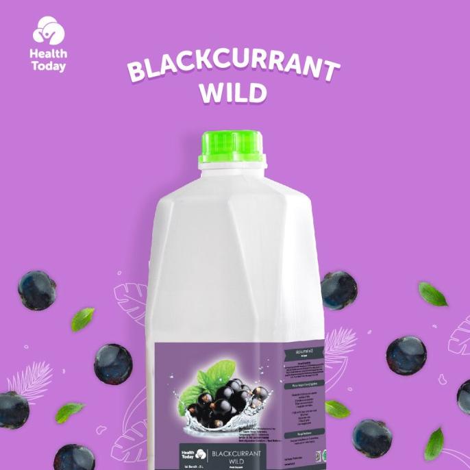 

Health Today Premium Fruit Mix Blackcurrant (Puree Buah Blackcurrant)