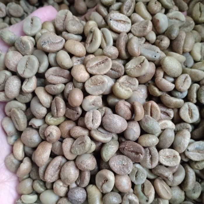 

ds011css Green Bean Robusta Gayo G1 Ds20X11