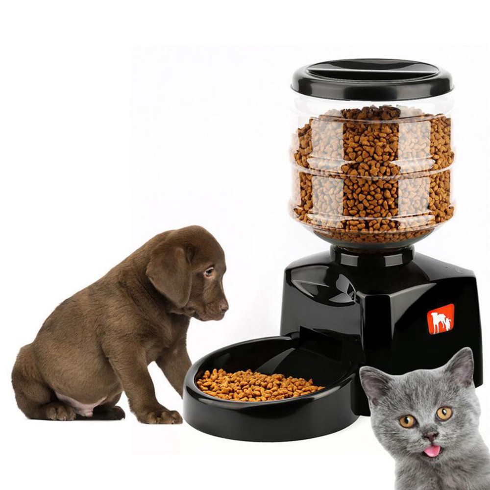 pet food auto feeder