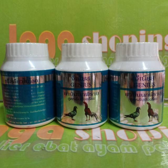 GENIUS suplemen jamu herbal kamlang ayam burung merpati kolongan tinggi jauh vitamin siap tarung