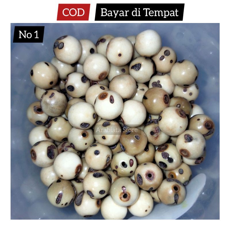 Butiran Biji Oud Sholib Oud Shalib Original