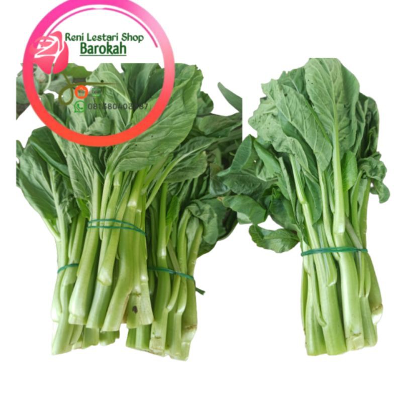 

Sawi Manis, Pamulang