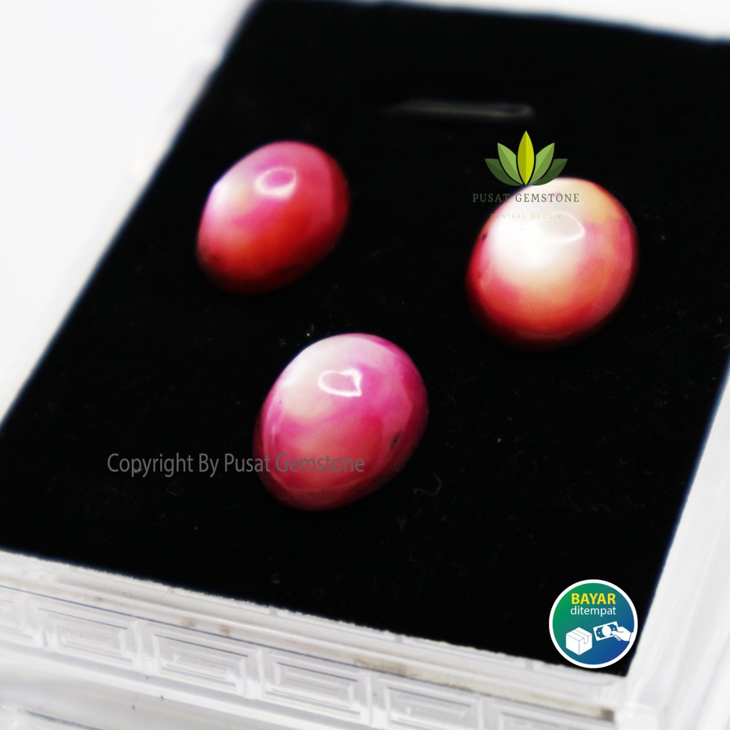 Batu Kerang Merah Delima