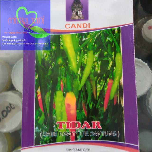 benih cabai rawit TIDAR 10gram dari CAP CANDI