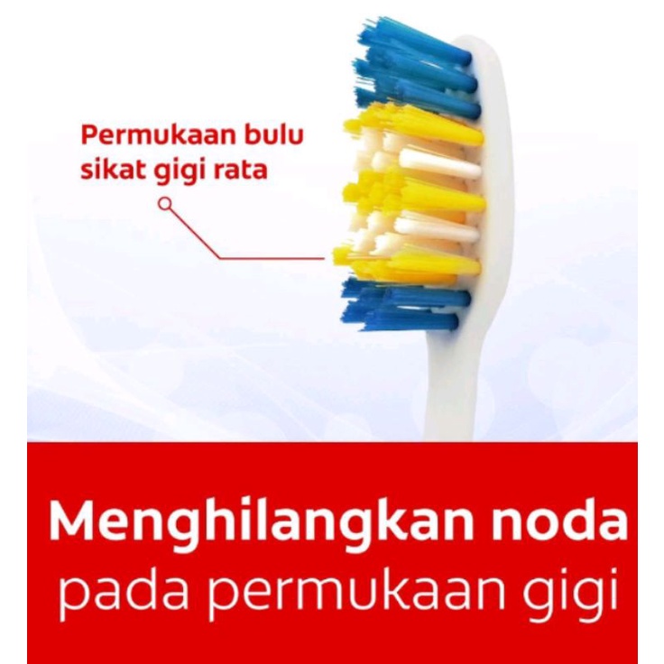 Sikat Gigi Oral B 3Pcs